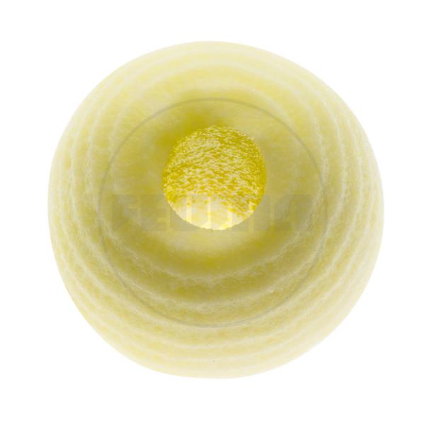 Jabuka bez semene lože